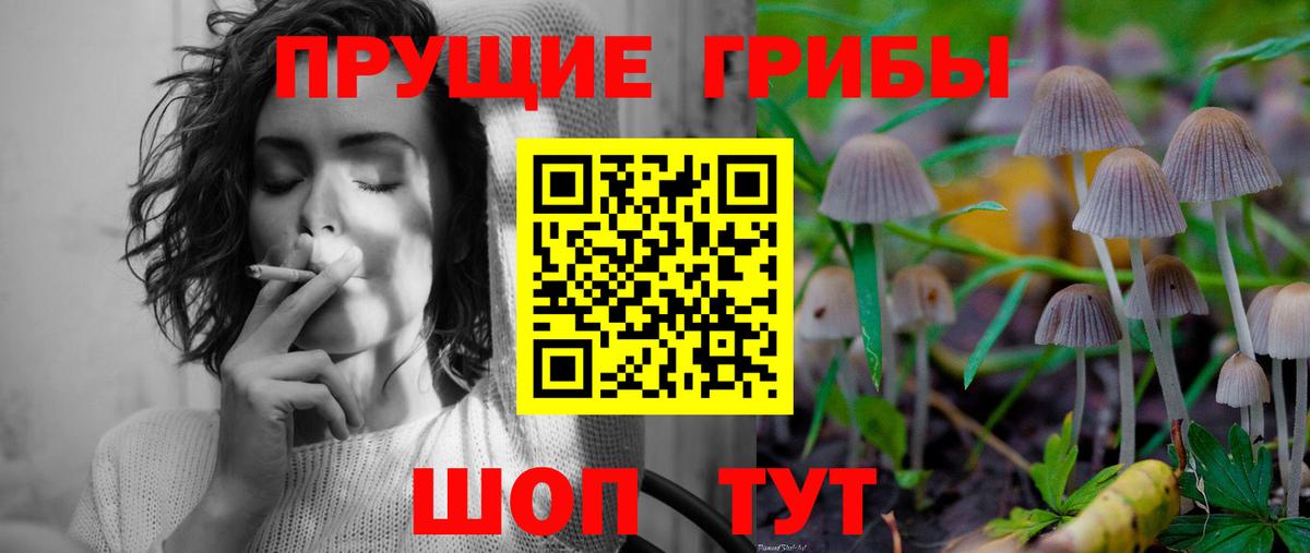 Псилоцибиновые грибы прущие грибы Грязи