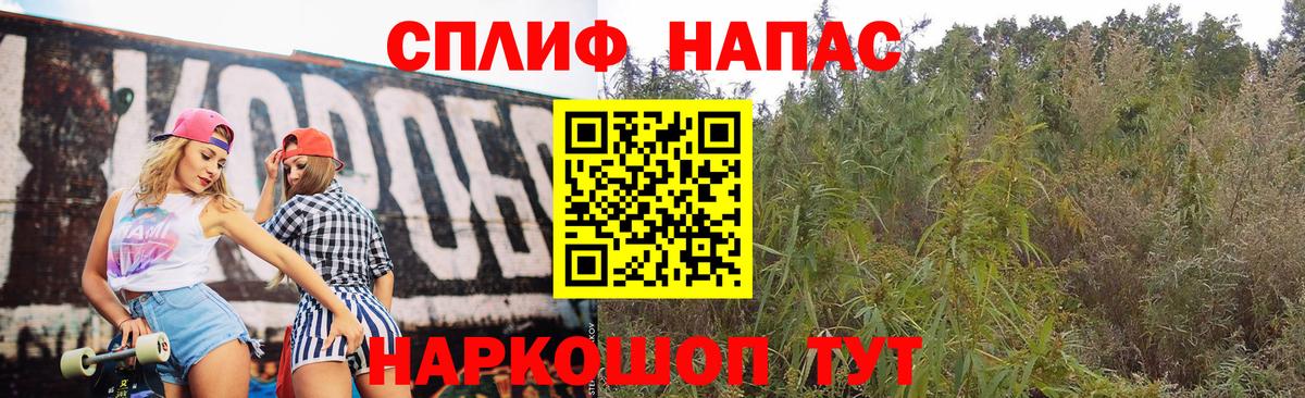 МАРИХУАНА Bruce Banner  Вход с VPN  Марихуана планчик  Грязи  Бошки марихуана White Widow  Шишки марихуана THC 21% 